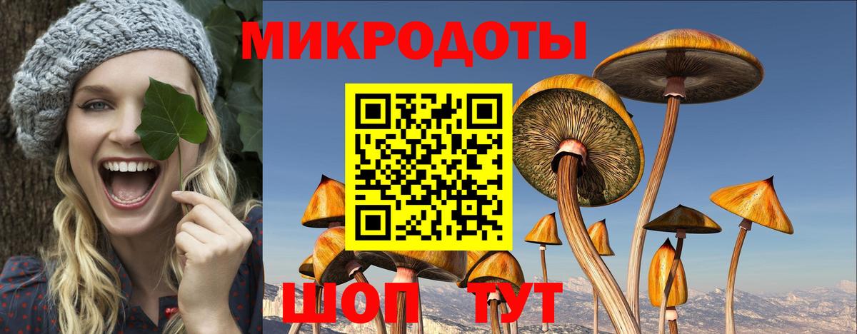 Галлюциногенные грибы Cubensis  Псилоцибиновые грибы Magic Shrooms  Вход с VPN  цена   Новый Уренгой 