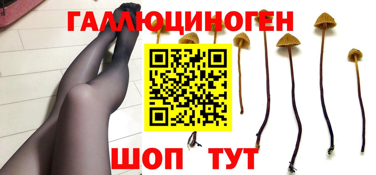 Галлюциногенные грибы Psilocybe Новый Уренгой